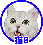 猫B